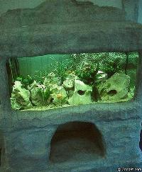 Malawiakvarium från L-design