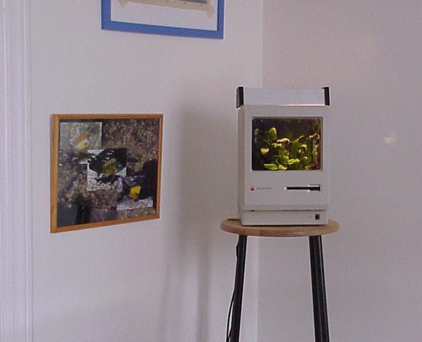 Macvarium