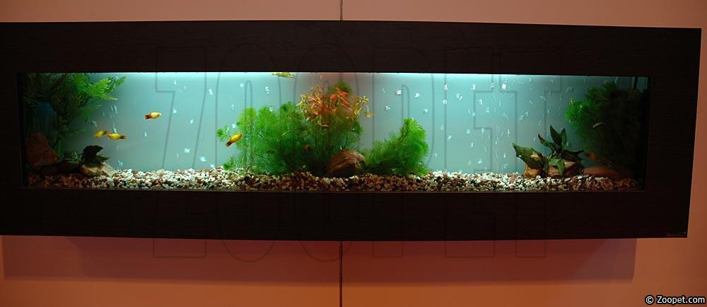 Tavelakvarium med platy