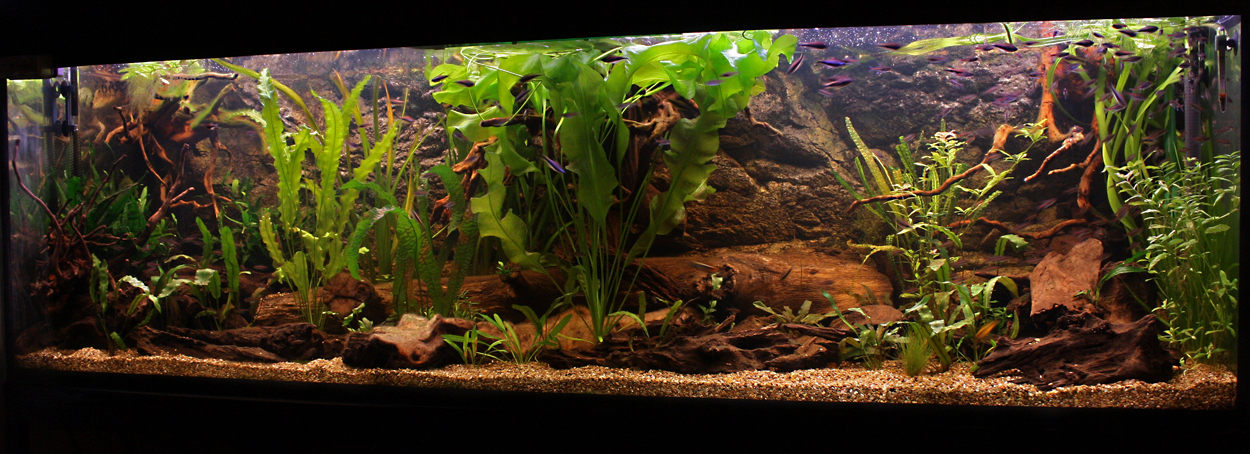 2 meter sydamerika