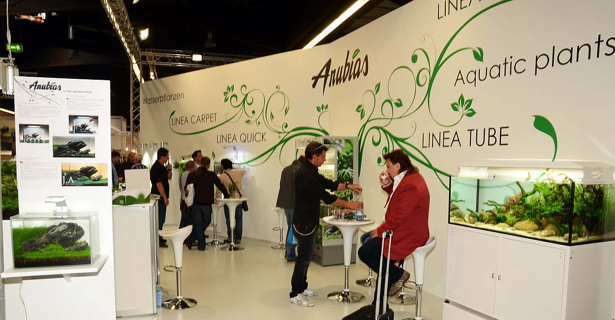 Interzoo 2012- Anubias