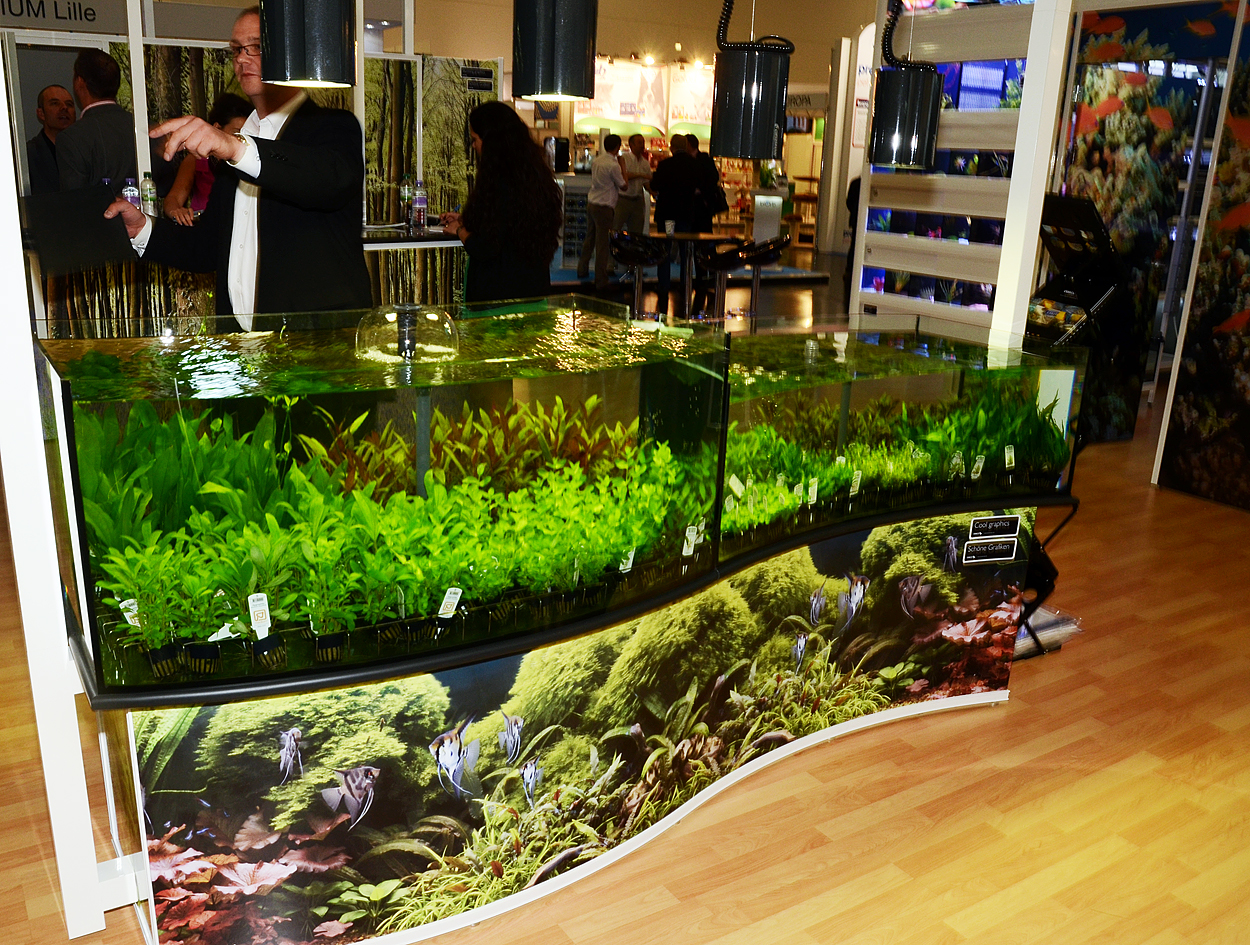 Interzoo 2012